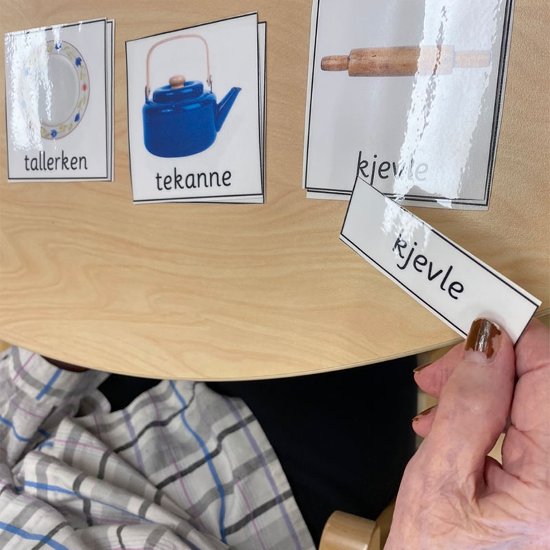 Nomenclature cards - a useful Montessori for Elders tool