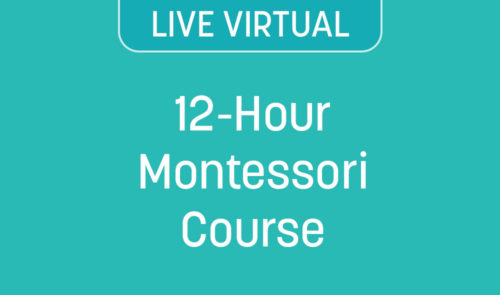 LIVE VIRTUAL 12-Hour Montessori Course