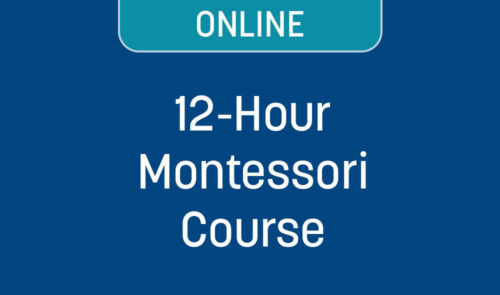 ONLINE 12-Hour Montessori Course