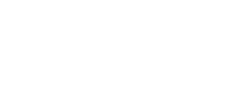 Northern Speech Services logo